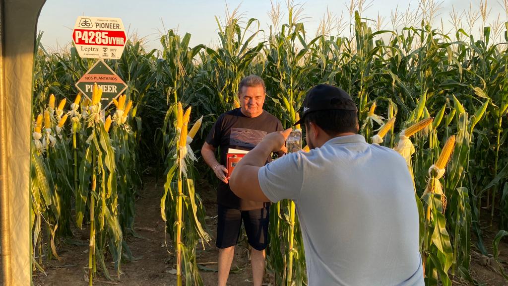 Rotary Planalto e Fazenda Canteiros realizam Dia de Campo Solidário da Cultura do Milho